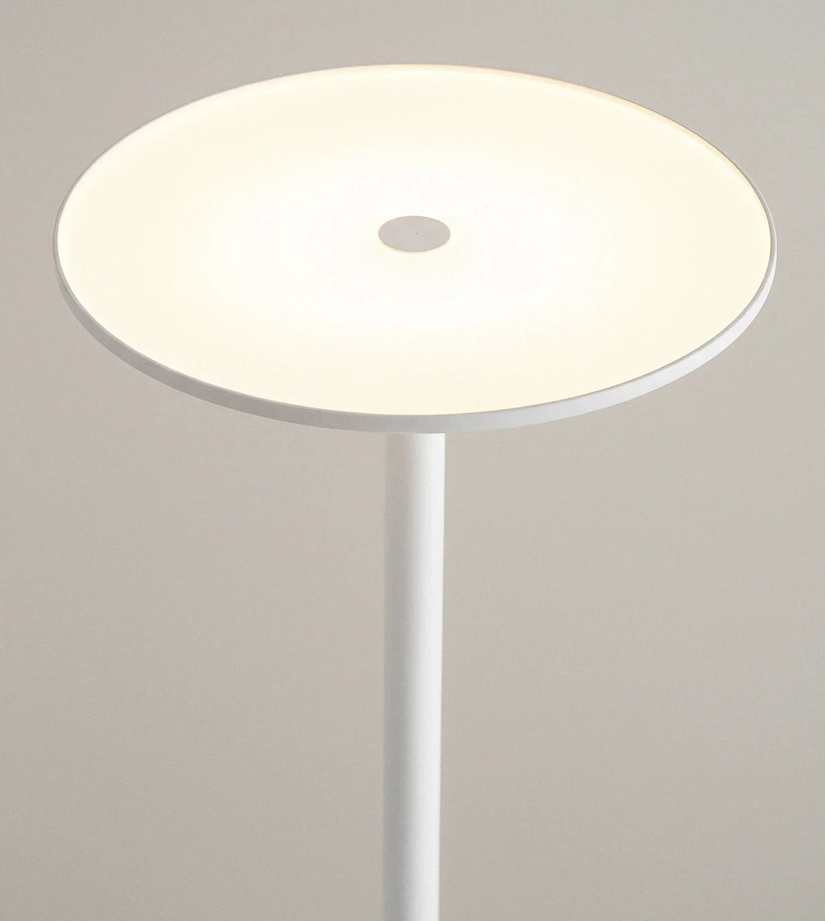 Nebulux | LED Floor Lamp with Uplighting
