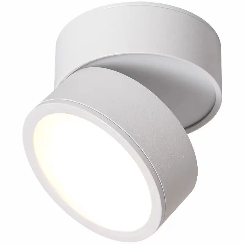 Glimmora | Adjustable LED Ceiling Spotlight