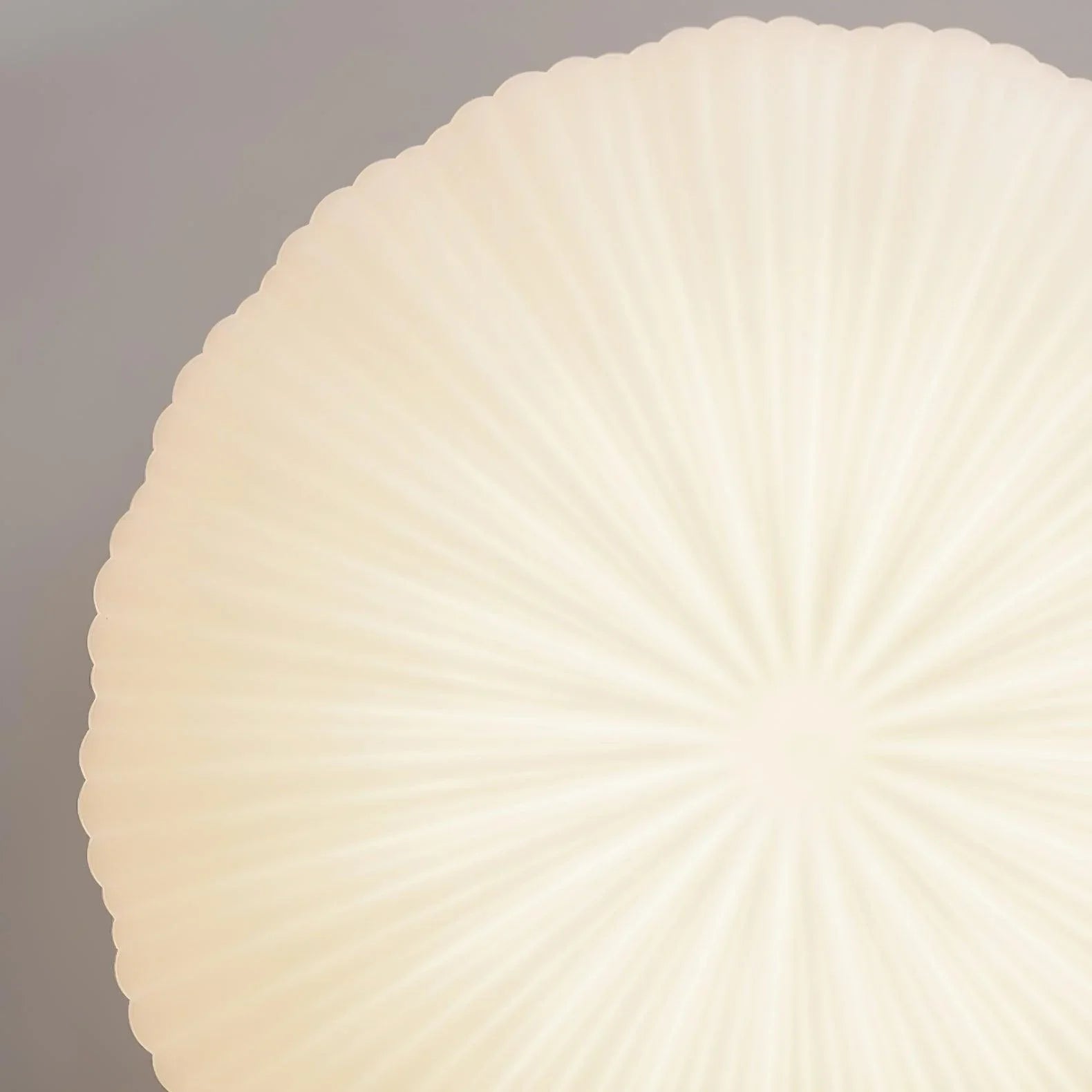 Lumira | Shell-Inspired Ceiling Light Fixture
