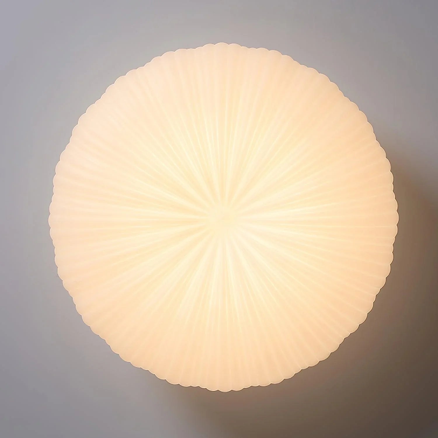 Lumira | Shell-Inspired Ceiling Light Fixture