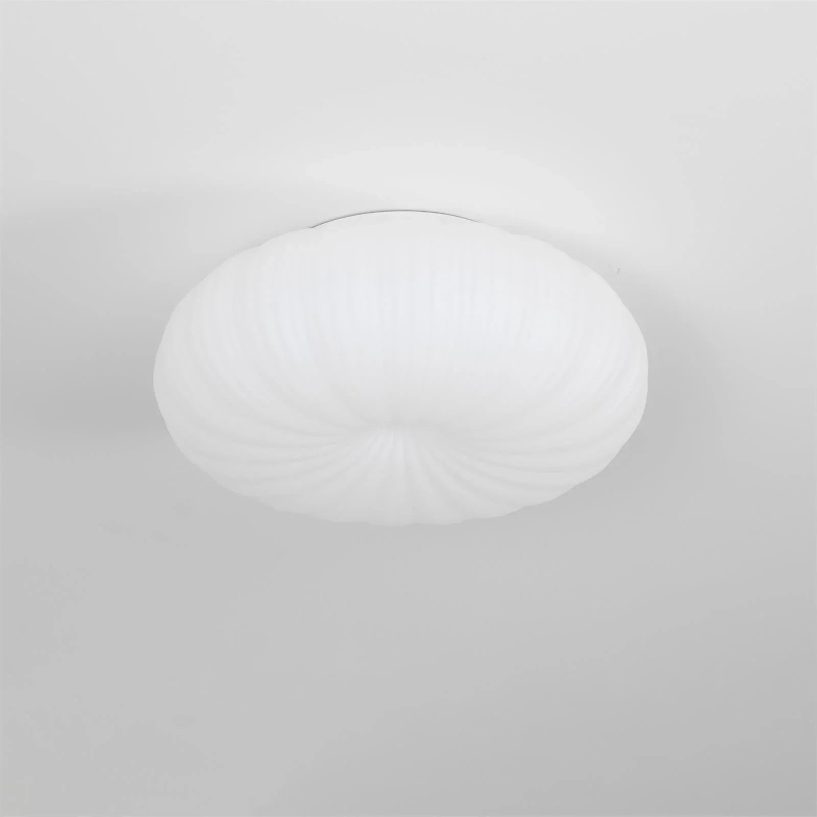 Lumira | Shell-Inspired Ceiling Light Fixture