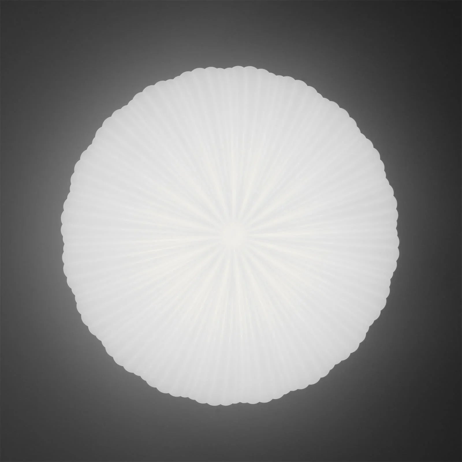 Lumira | Shell-Inspired Ceiling Light Fixture
