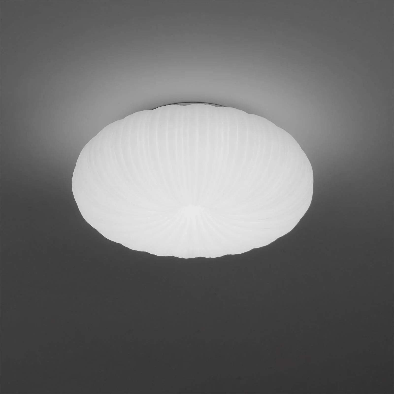 Lumira | Shell-Inspired Ceiling Light Fixture